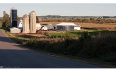 Dairy Land - Wisconsin