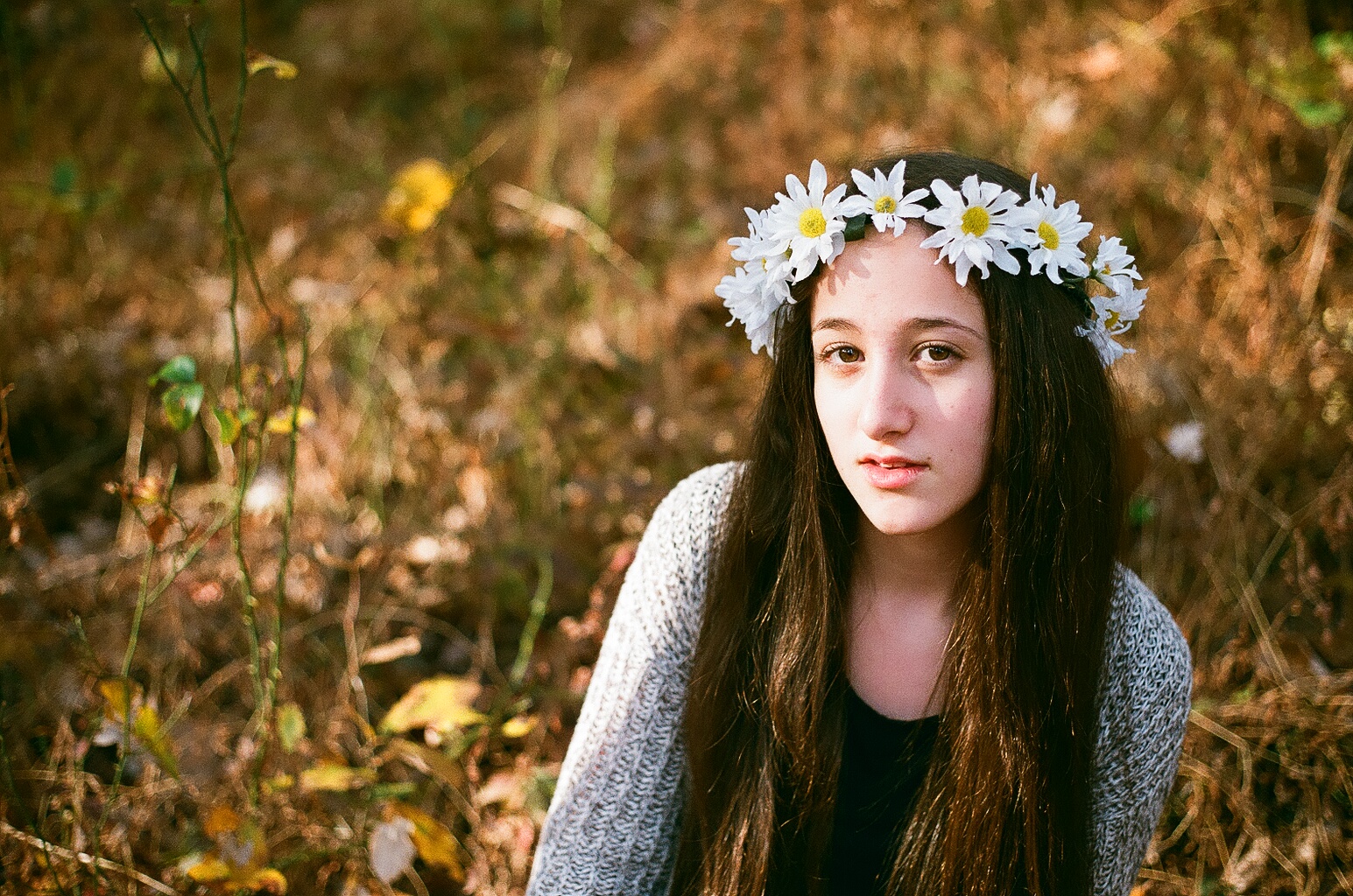 Daisies