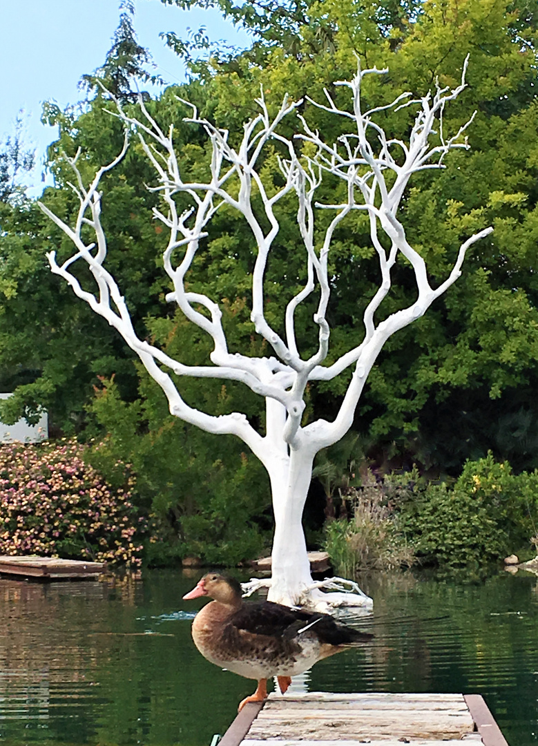 Daisy Duck! Kann man hier nicht einmal seine Ruhe haben!