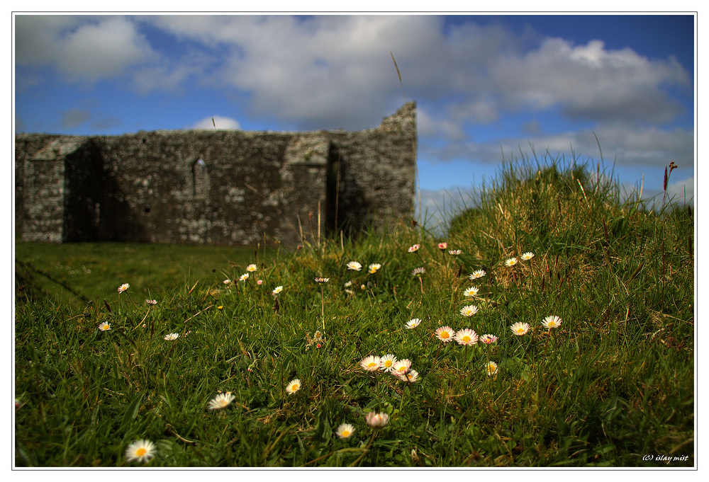 daisys @ errew abbey