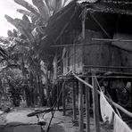 Dajak-Haus 1984, Kalimantan Timur