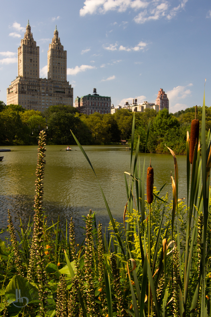 Dakota Building aus dem Central Park