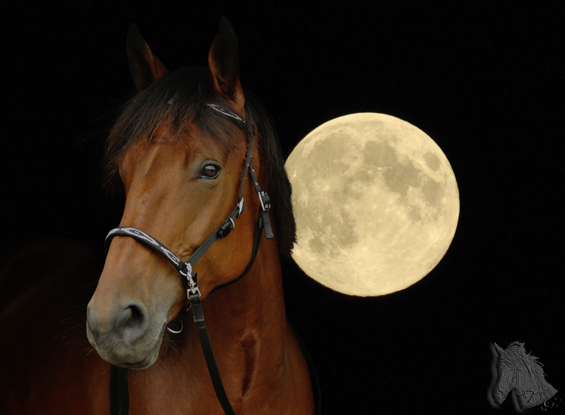 Dakota und der Mond