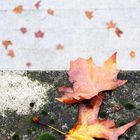 Dal balcone: vista autunnale