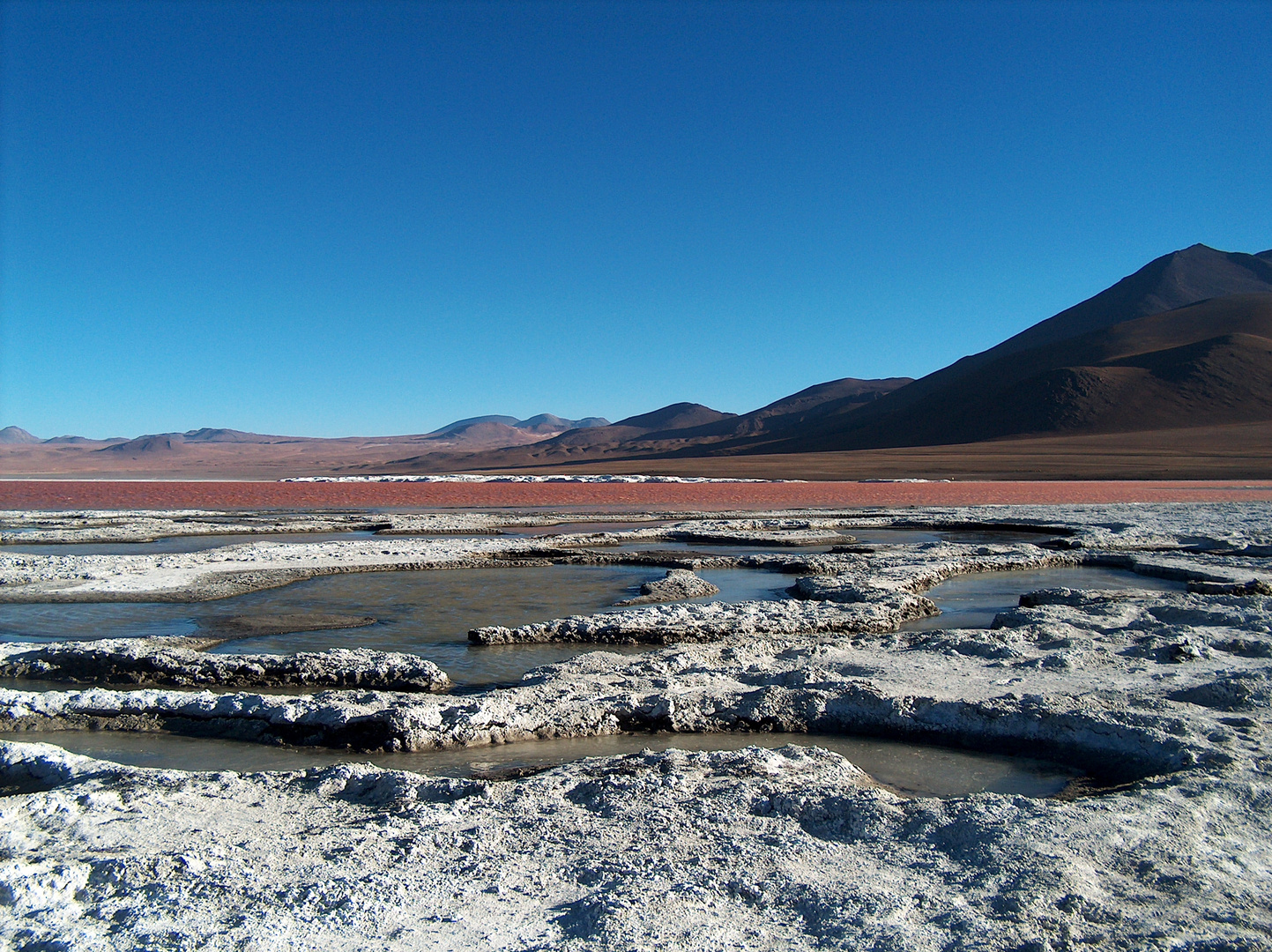 Dal cile alla Bolivia attraversando i deserti