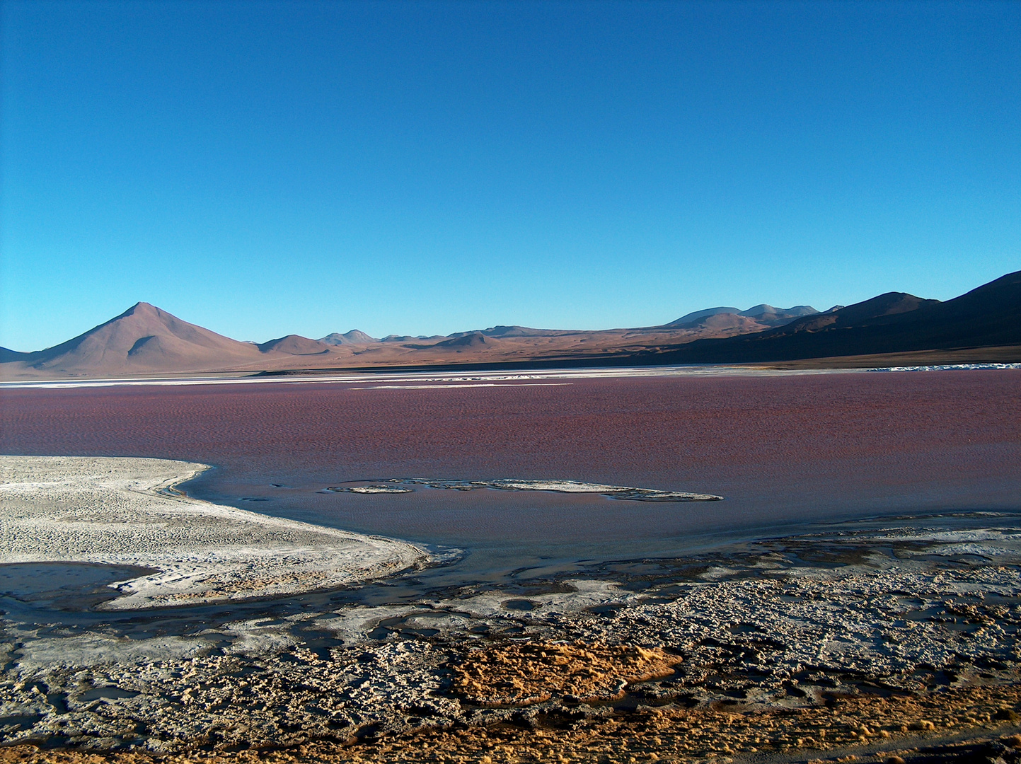 Dal cile alla Bolivia attraverso i deserti