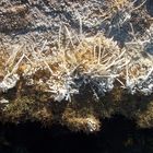 Dal Cile alla Bolivia camminando tra i vapori