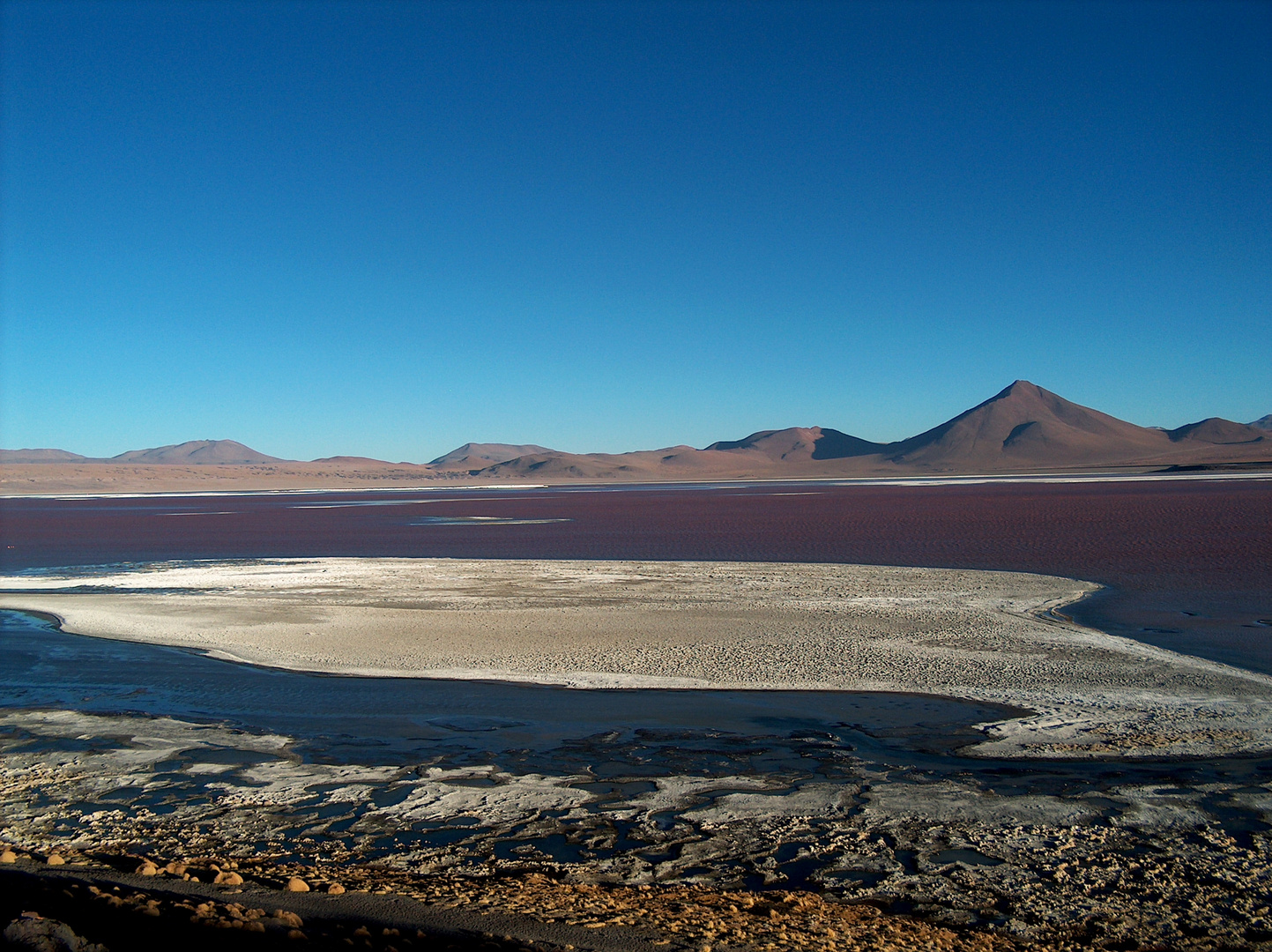 Dal cile alla Bolivia dentro i deserti