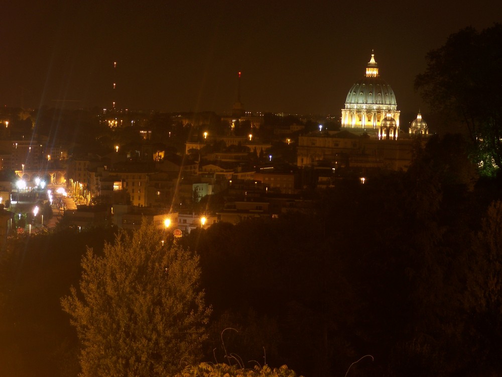 Dal Gianicolo vedo Roma