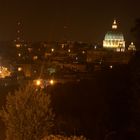 Dal Gianicolo vedo Roma
