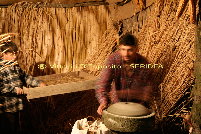 dal grano alla farina