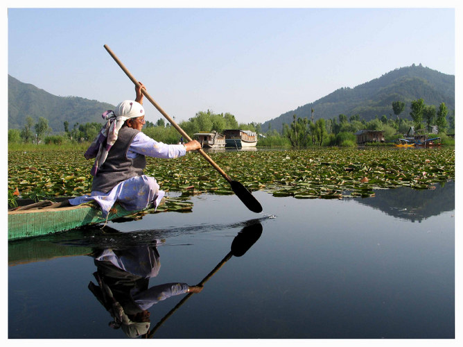 Dal Lake, Srinagar