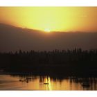 Dal Lake Srinagar India