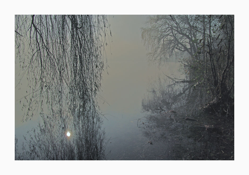 DAL MIO LAGO - Nebbia fitta