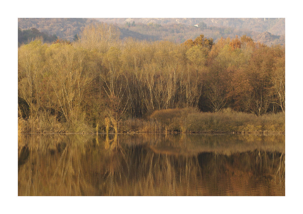 DAL MIO LAGO - Quasi monocromatico