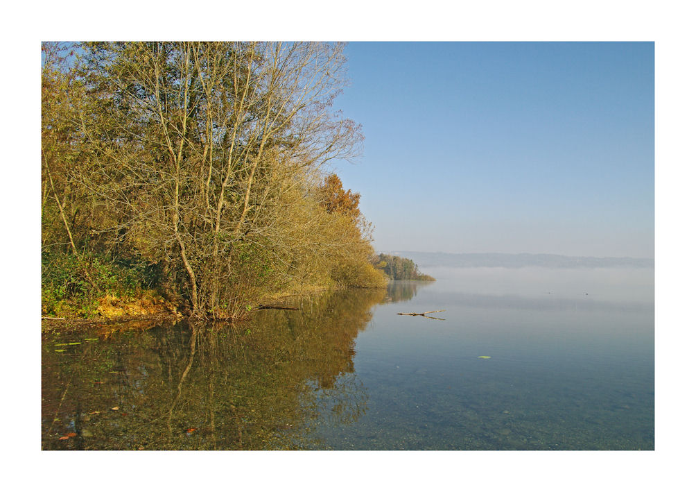 DAL MIO LAGO - Sereno