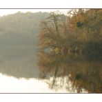 DAL MIO LAGO - Un pò più spenti