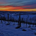 dal Monferrato al Monviso 