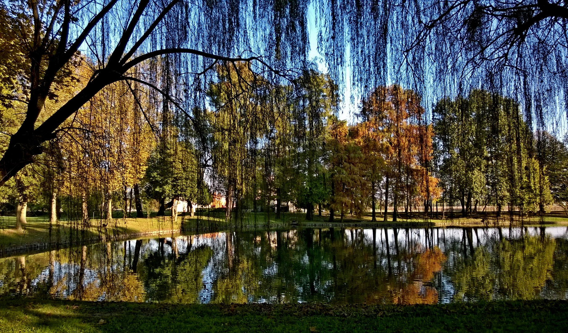 dal palcoscenico della natura l'autunno presenta i suoi colori