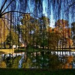 dal palcoscenico della natura l'autunno presenta i suoi colori