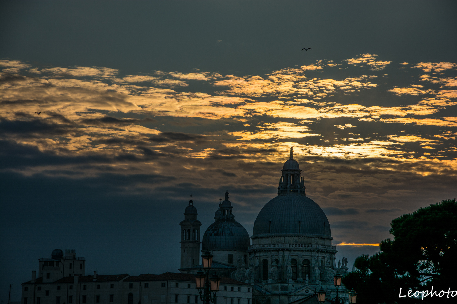 Dal Piazza San Marco Venezia