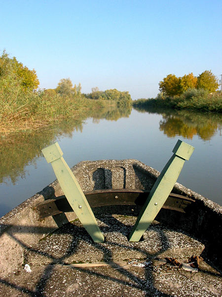 dal Ponte delle Barche