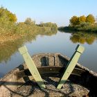 dal Ponte delle Barche