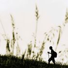 Dal punto di vista di un grillo