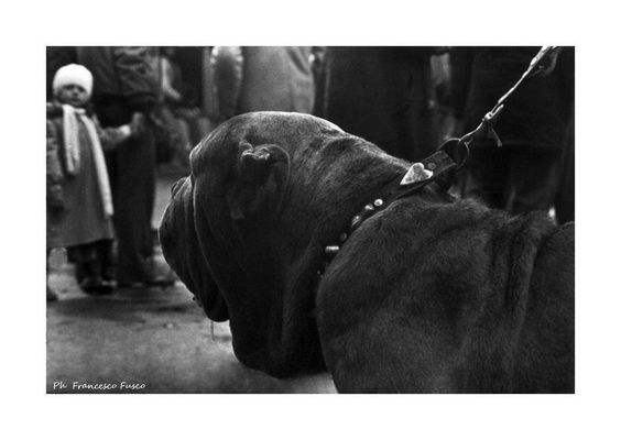 dal suo punto di vista