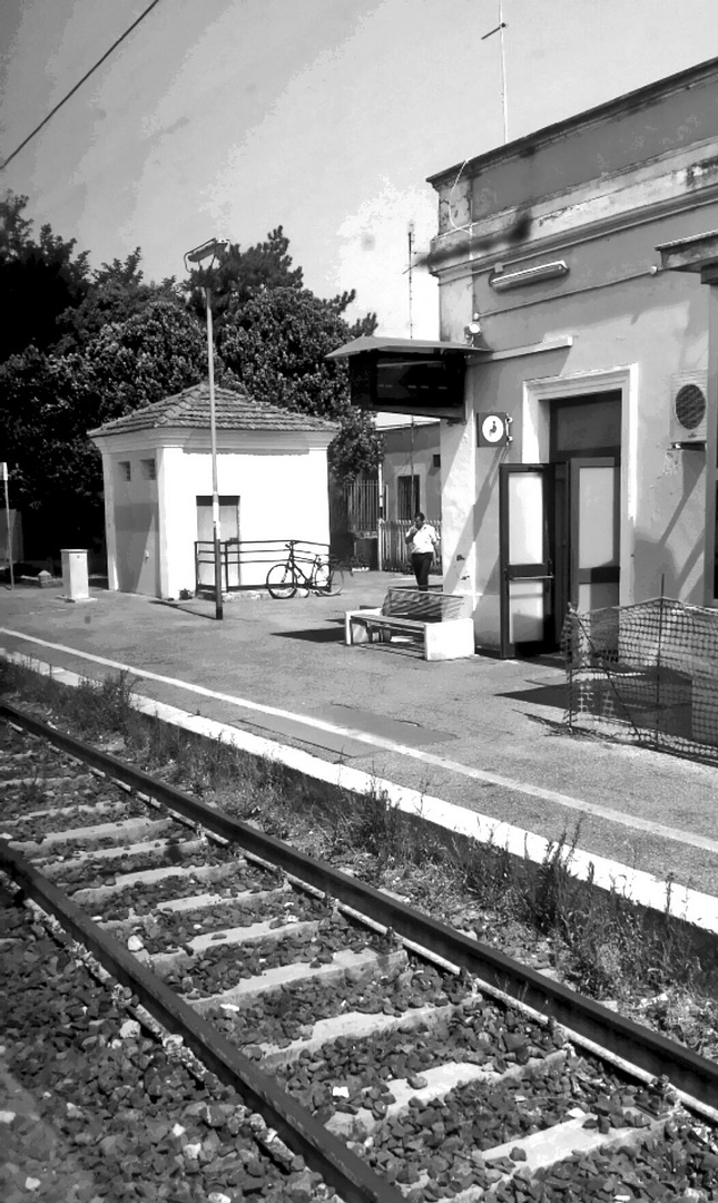 dal treno 4