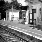 dal treno 4