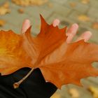 dal verde al marrone