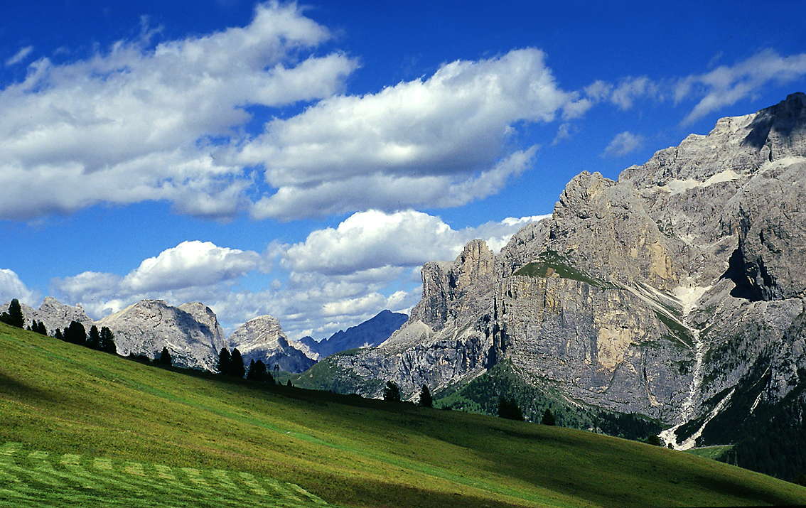 Dal verde..Ai monti...Al cielo..