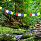 Dalai Lama macht Urlaub im Bayerischen Wald