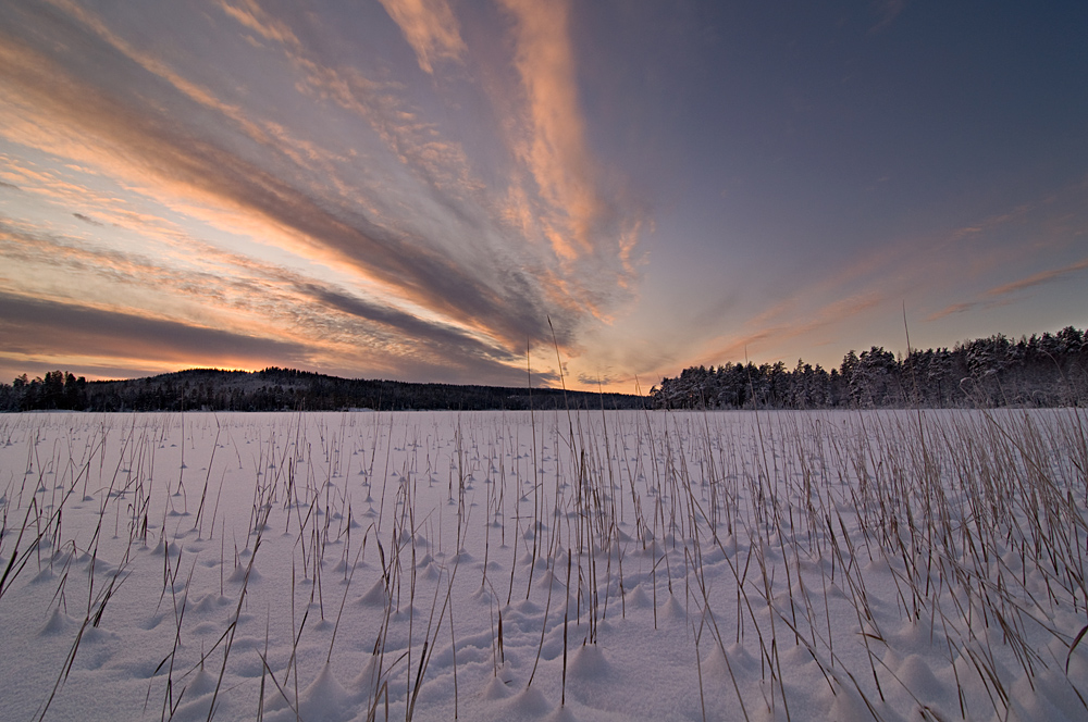 Dalarna