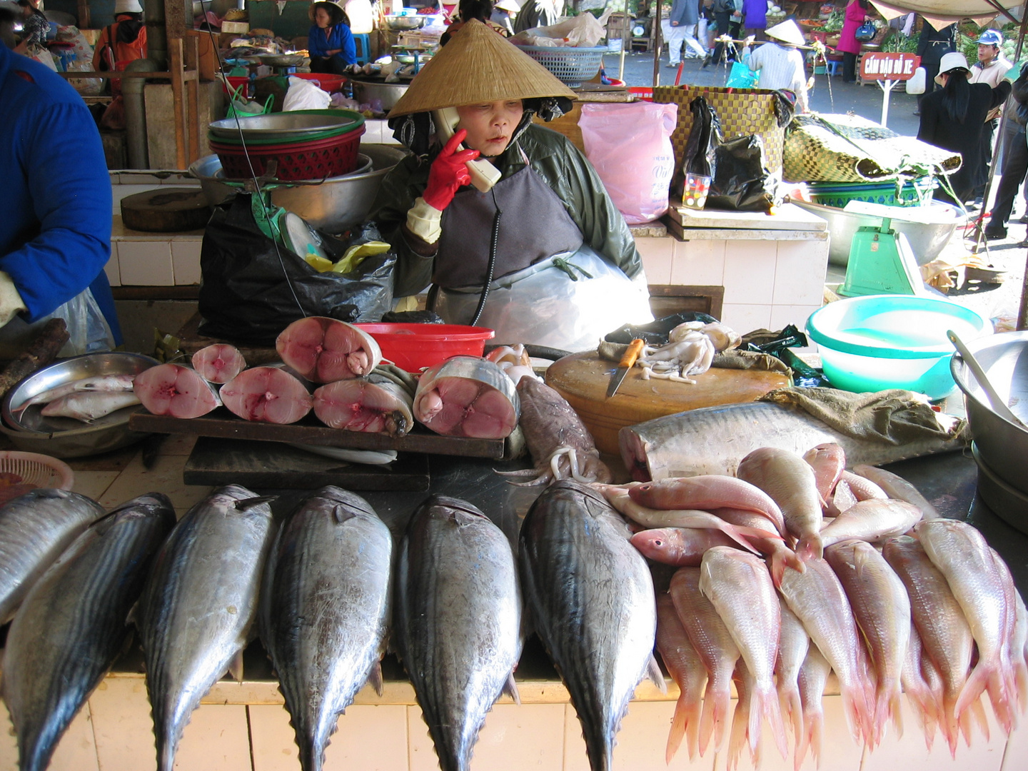 Dalat Market Telephone Hotline