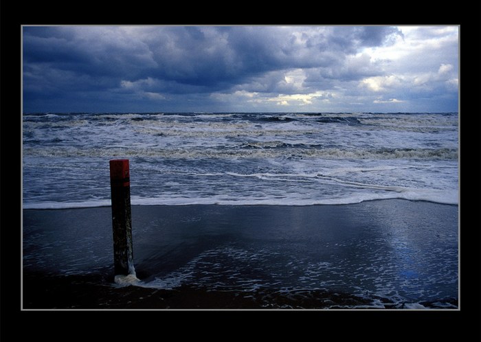 Dalbe auf Texel