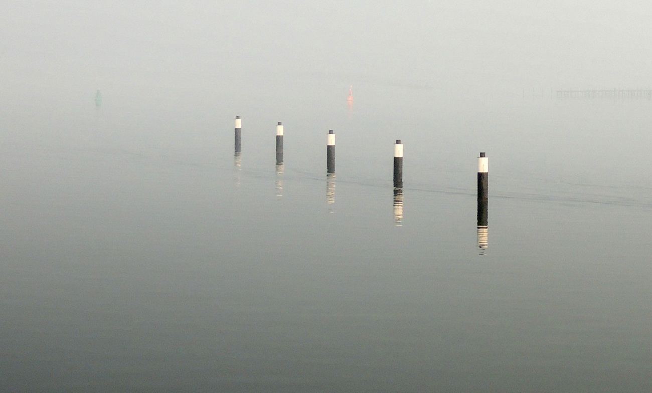Dalben Foto & Bild wasser, natur, rügen Bilder auf