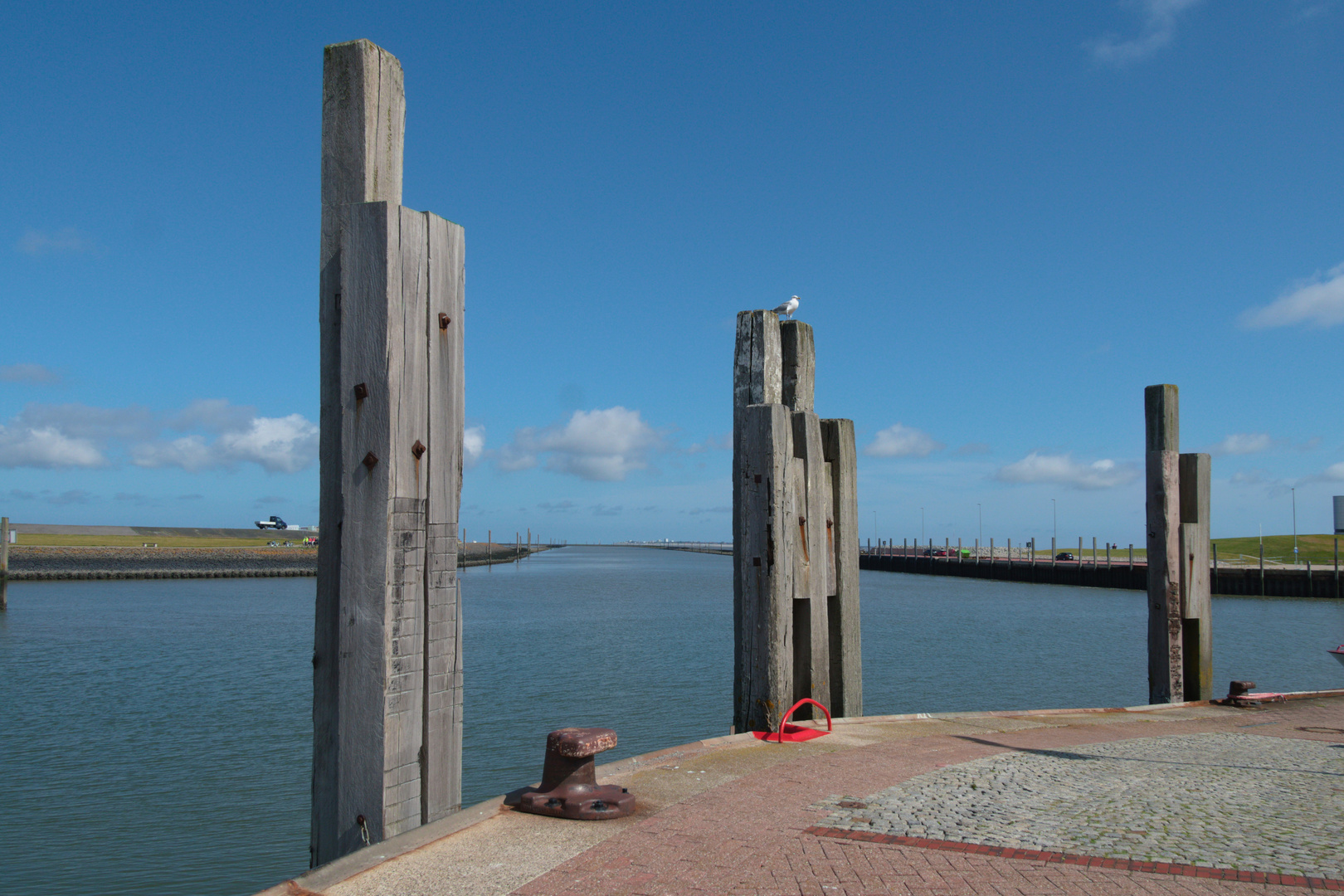 Dalben im Hafen von Norddeich.