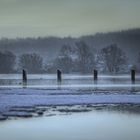 Dalben in der Elbe 