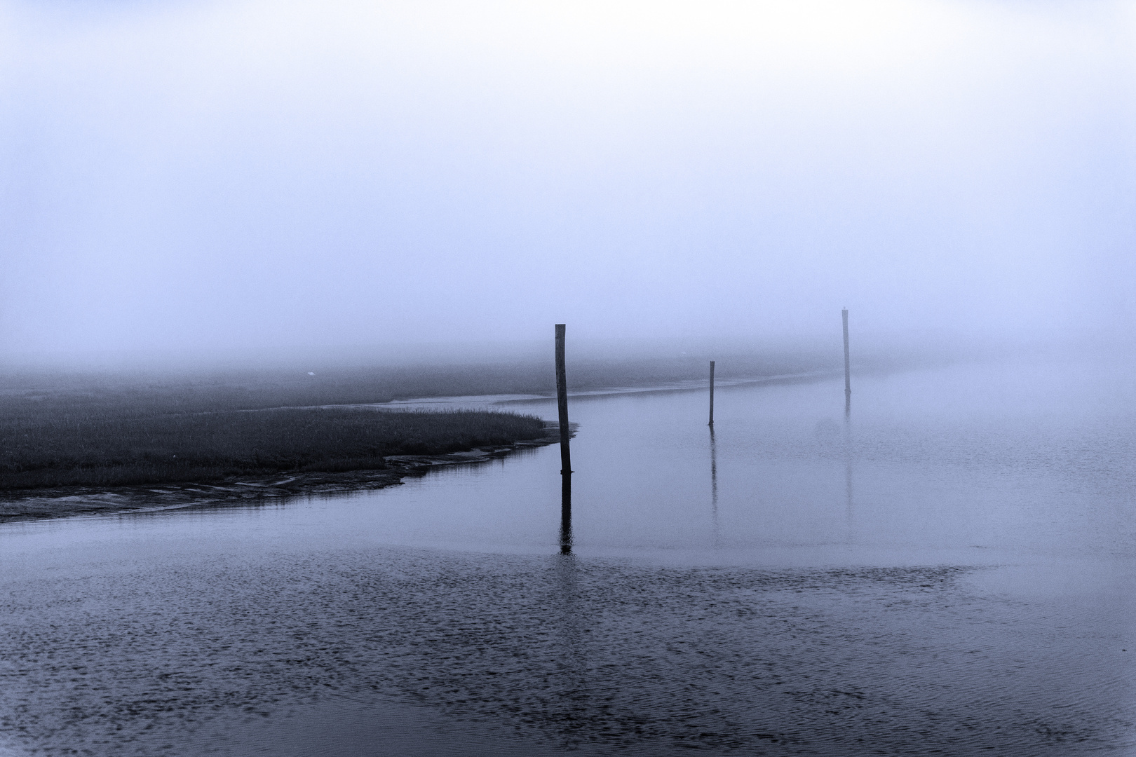 Dalben_Nebel_2