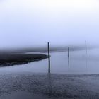 Dalben_Nebel_2