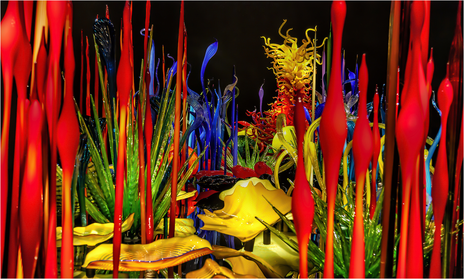 Dale Chihuly