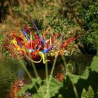 Dale Chihuly at Kew Gardens 4