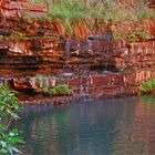 * Dale Gorge / the Circular Pool / Karijini  NP *