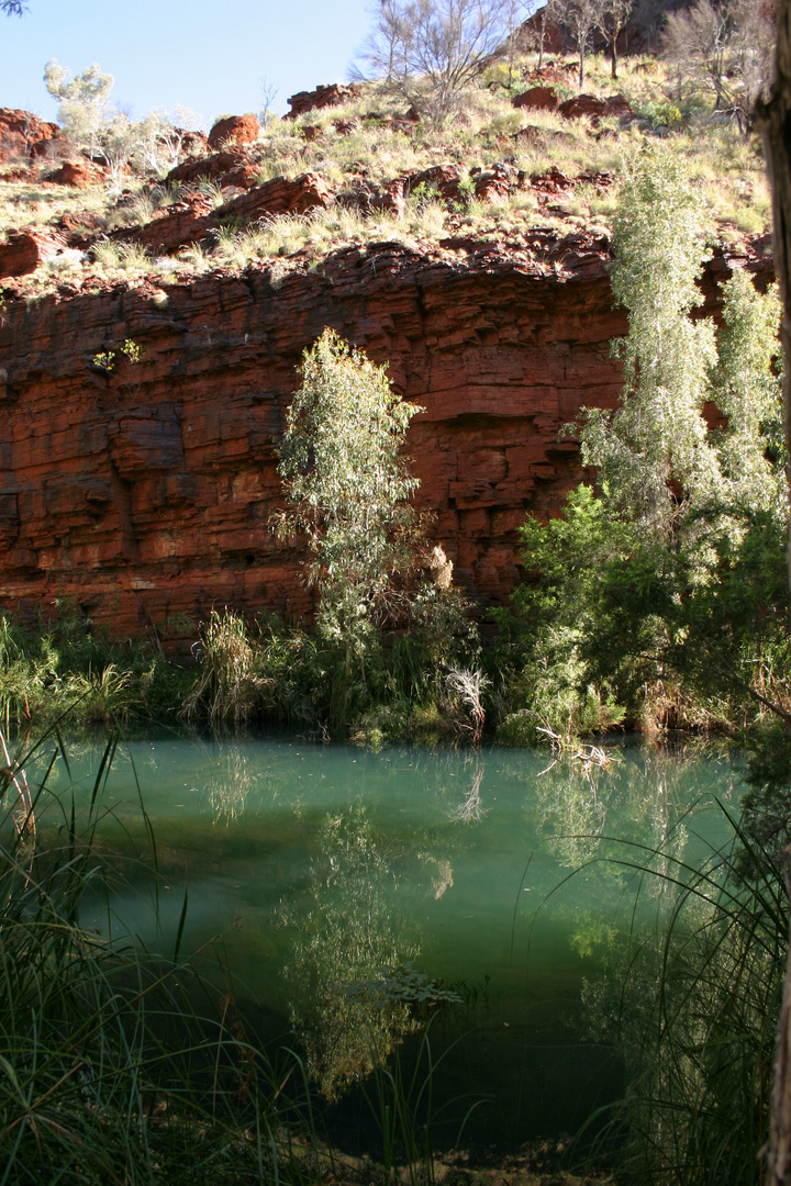 Dales Gorge