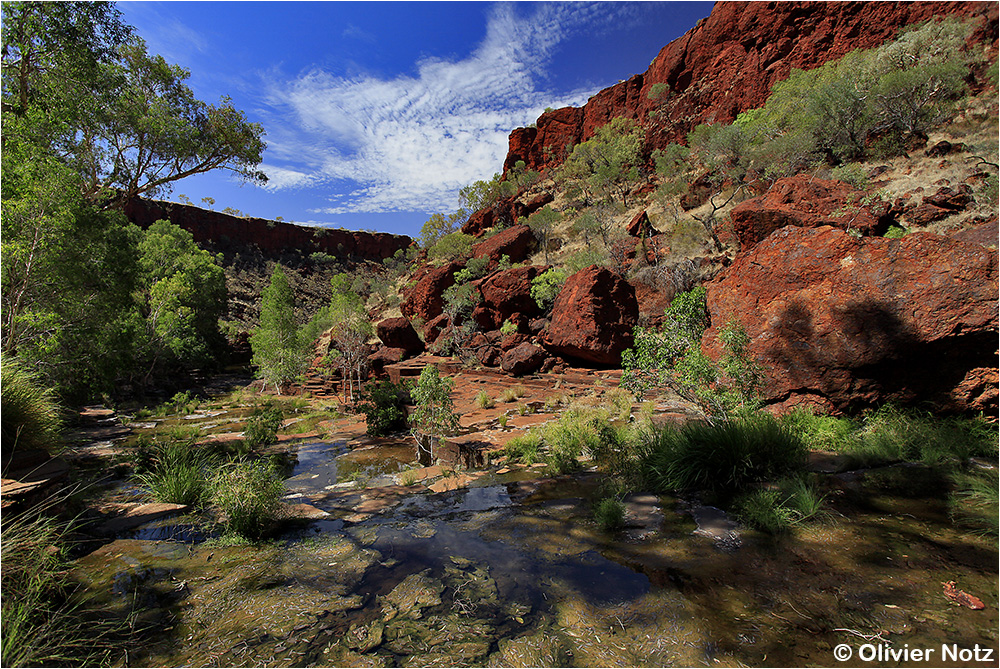 Dales Gorge - Ngirribungunha - Karijini National Park