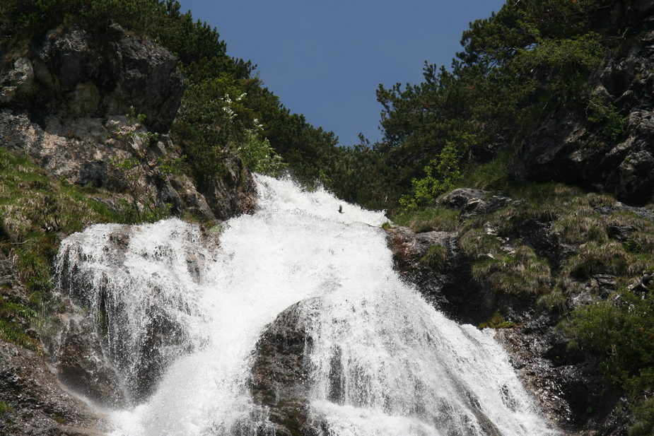 Dalfazer Wasserfall mit Vogel