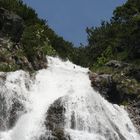 Dalfazer Wasserfall mit Vogel