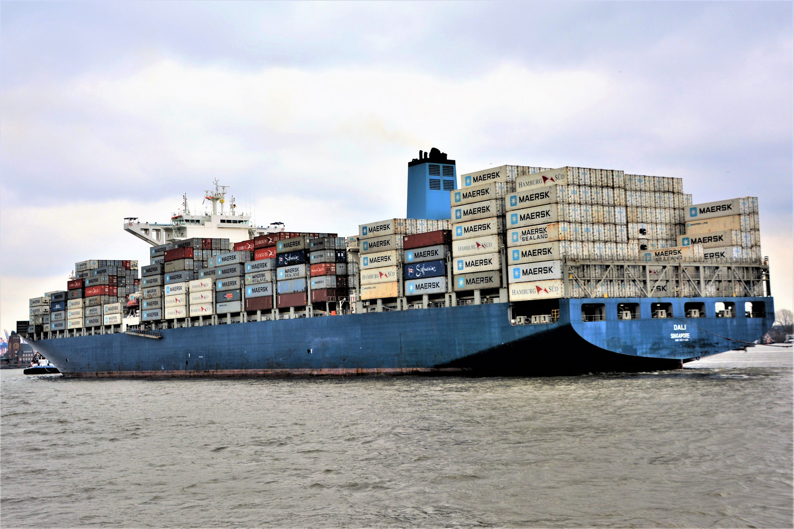 DALI Foto & Bild bilder, fotos, nikon Bilder auf